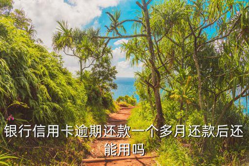 信用卡逾期后是否不能使用,信用卡逾期后還能使用嗎...
